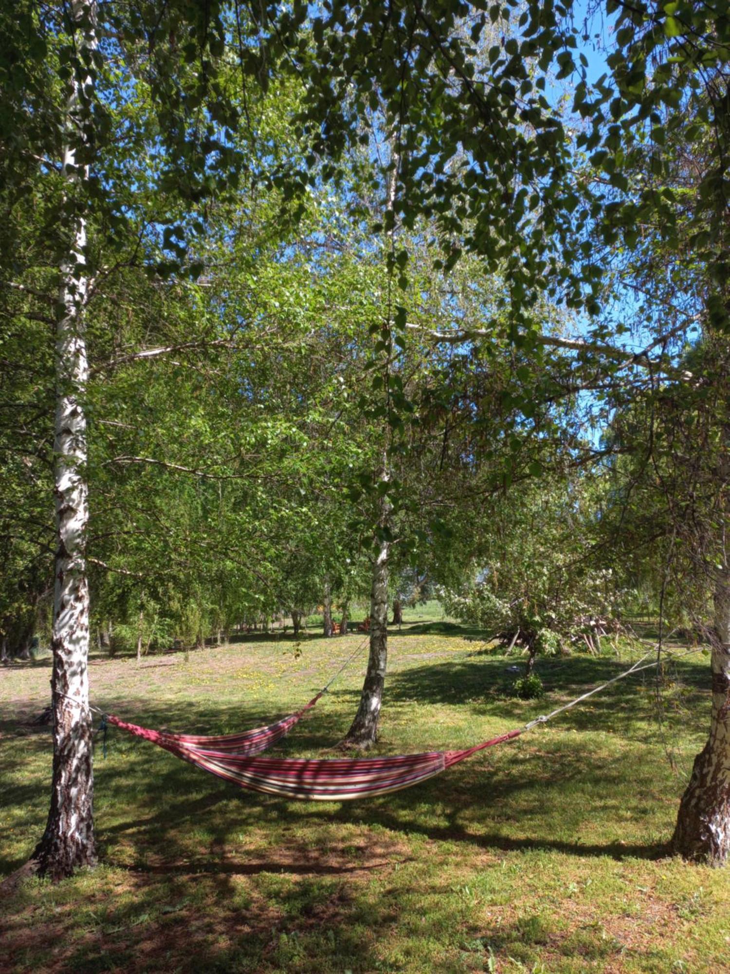 Hostel Lc Hoyo de Epuyén 外观 照片