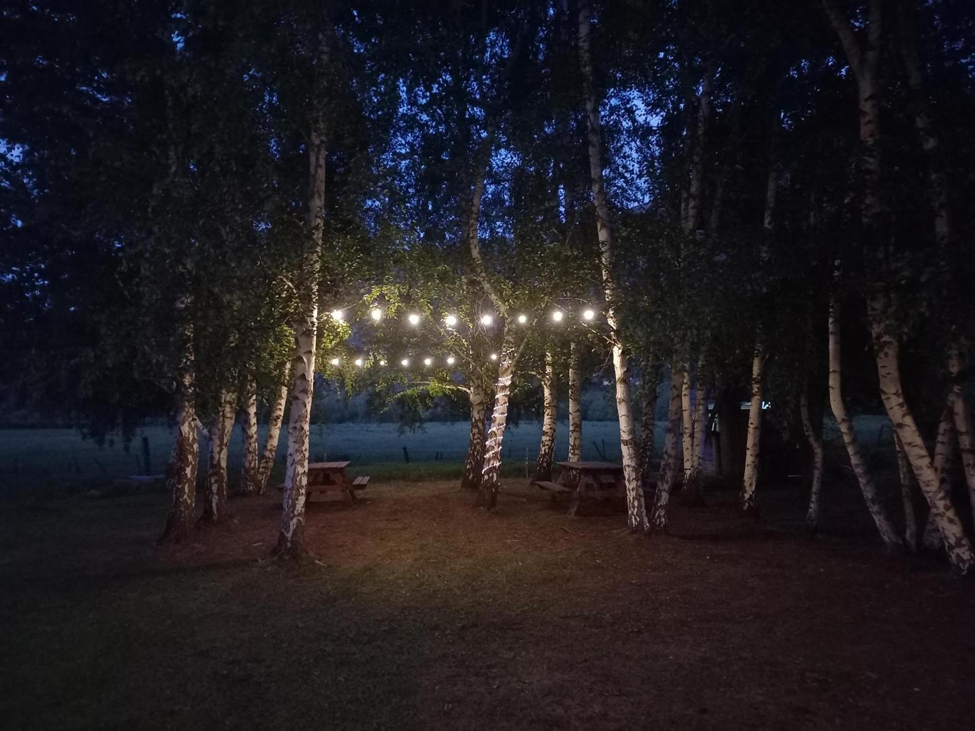 Hostel Lc Hoyo de Epuyén 外观 照片